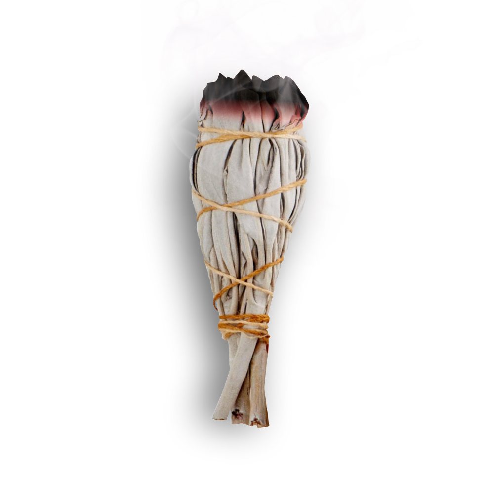 White Sage Torch Smudge
