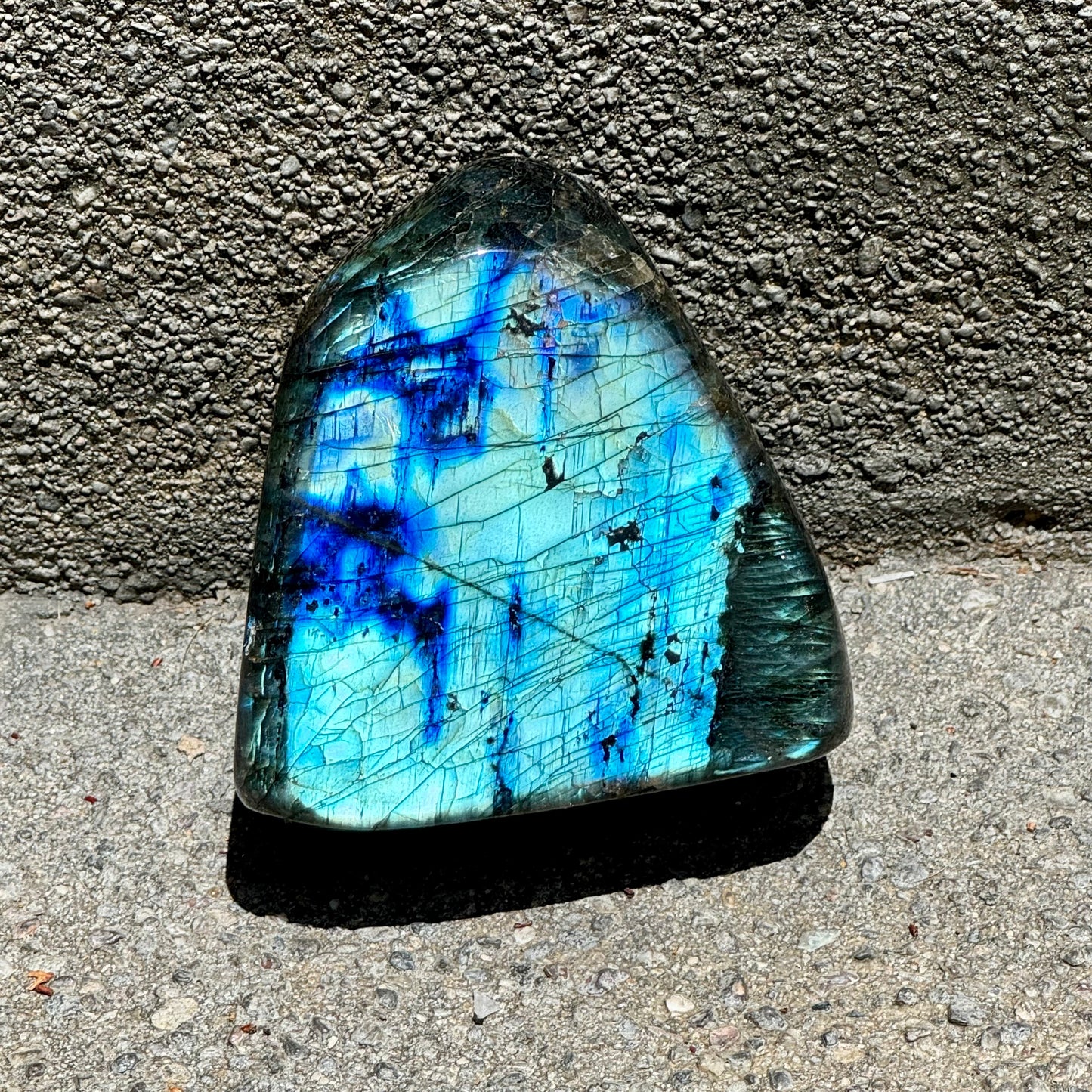 Labradorite Free Form - XL
