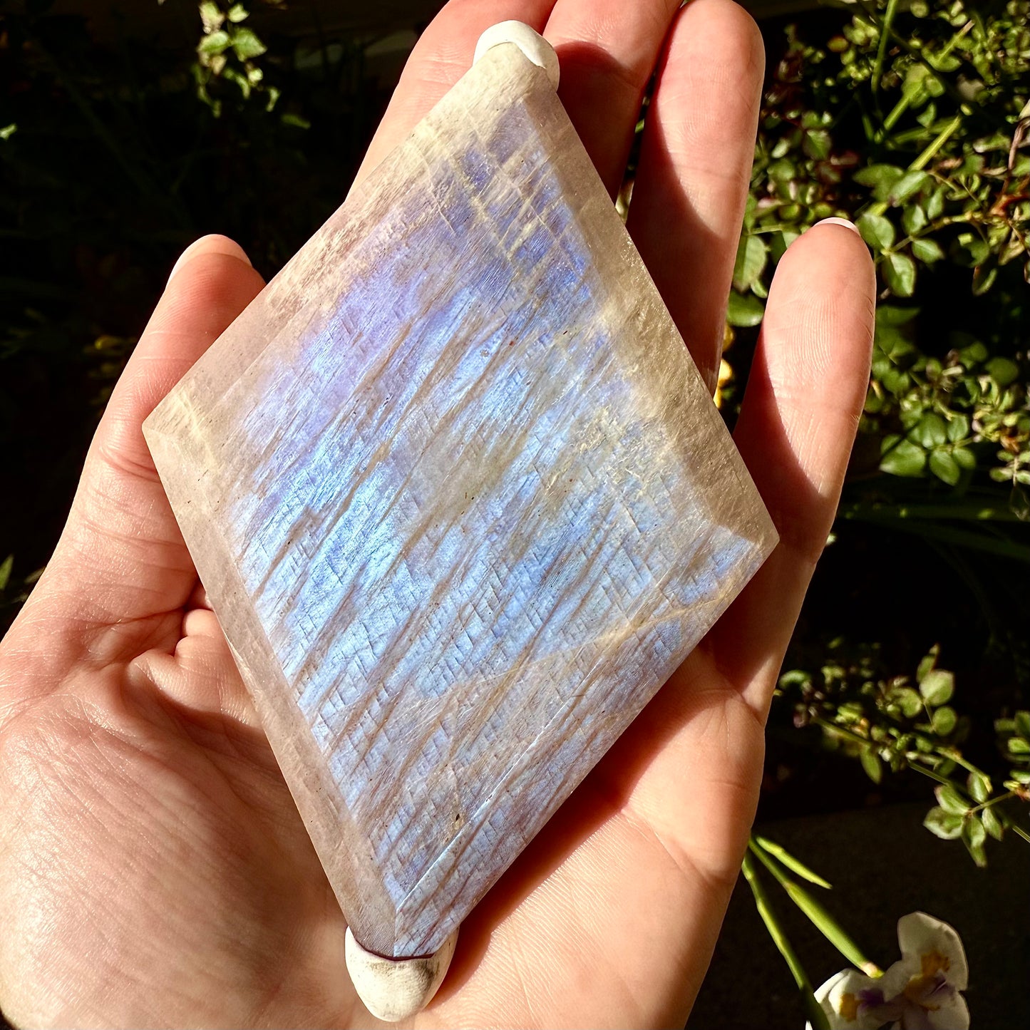 Moonstone + Sunstone Diamond Carvings