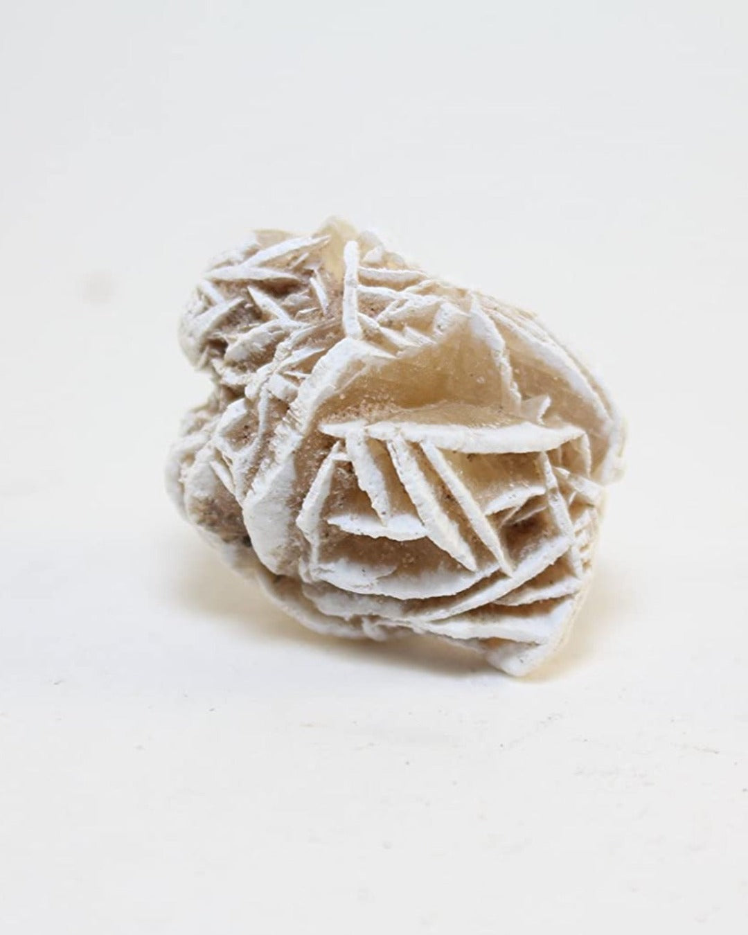 Selenite Gypsum Desert Roses - Crystals Shop, Gems + Wholesale Sage by Liv Rocks