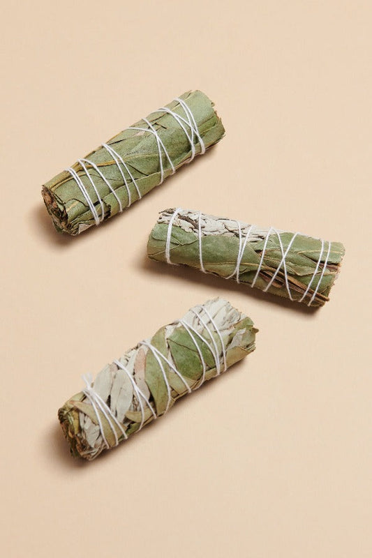 Eucalyptus Smudge - Crystals Shop, Gems + Wholesale Sage by Liv Rocks