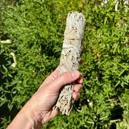 Large White Sage Smudge Wand