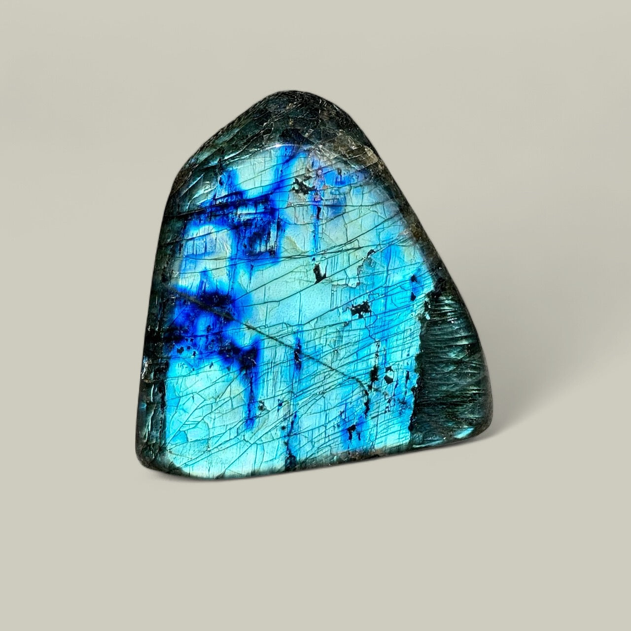 Labradorite Free Form - XL