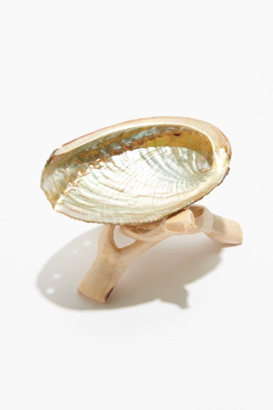 Abalone Smudge Bowls - Crystals Shop, Gems + Wholesale Sage by Liv Rocks